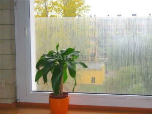 folie dekoracyjne na okno